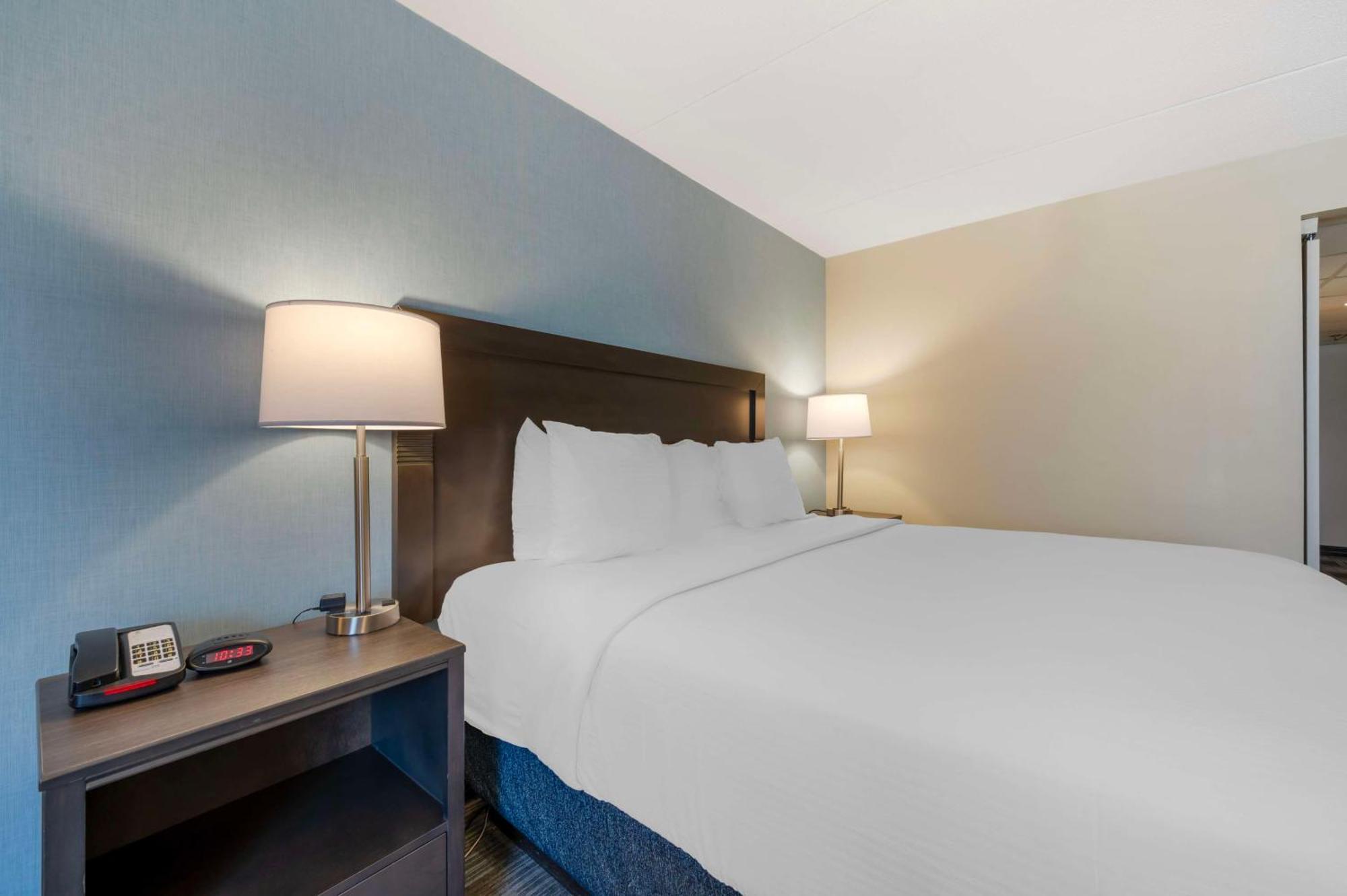 Best Western Plus Alexandria Fort Belvoir Mount Vernon Kültér fotó